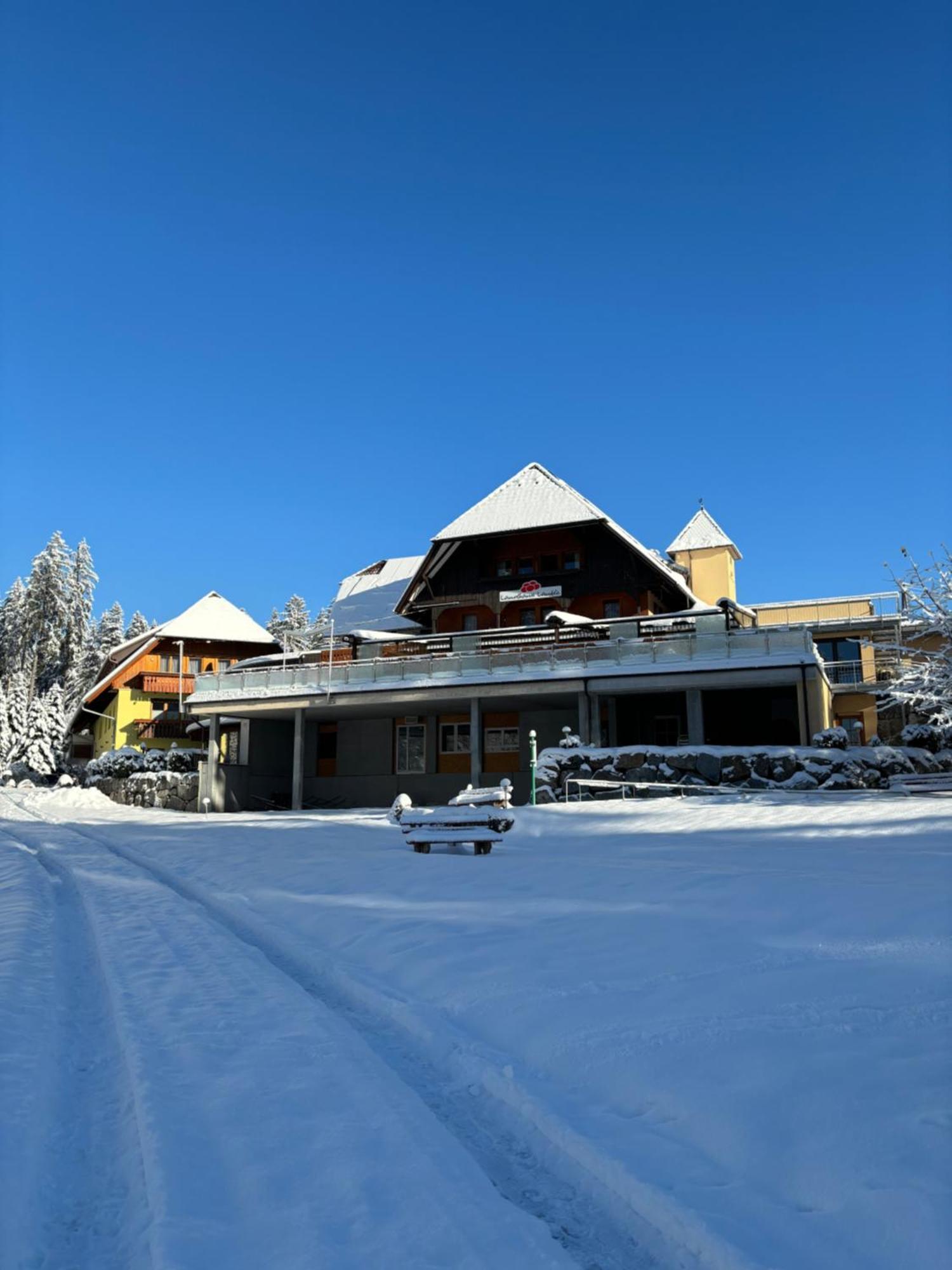 Landhaus Lauble Хорнберг Экстерьер фото