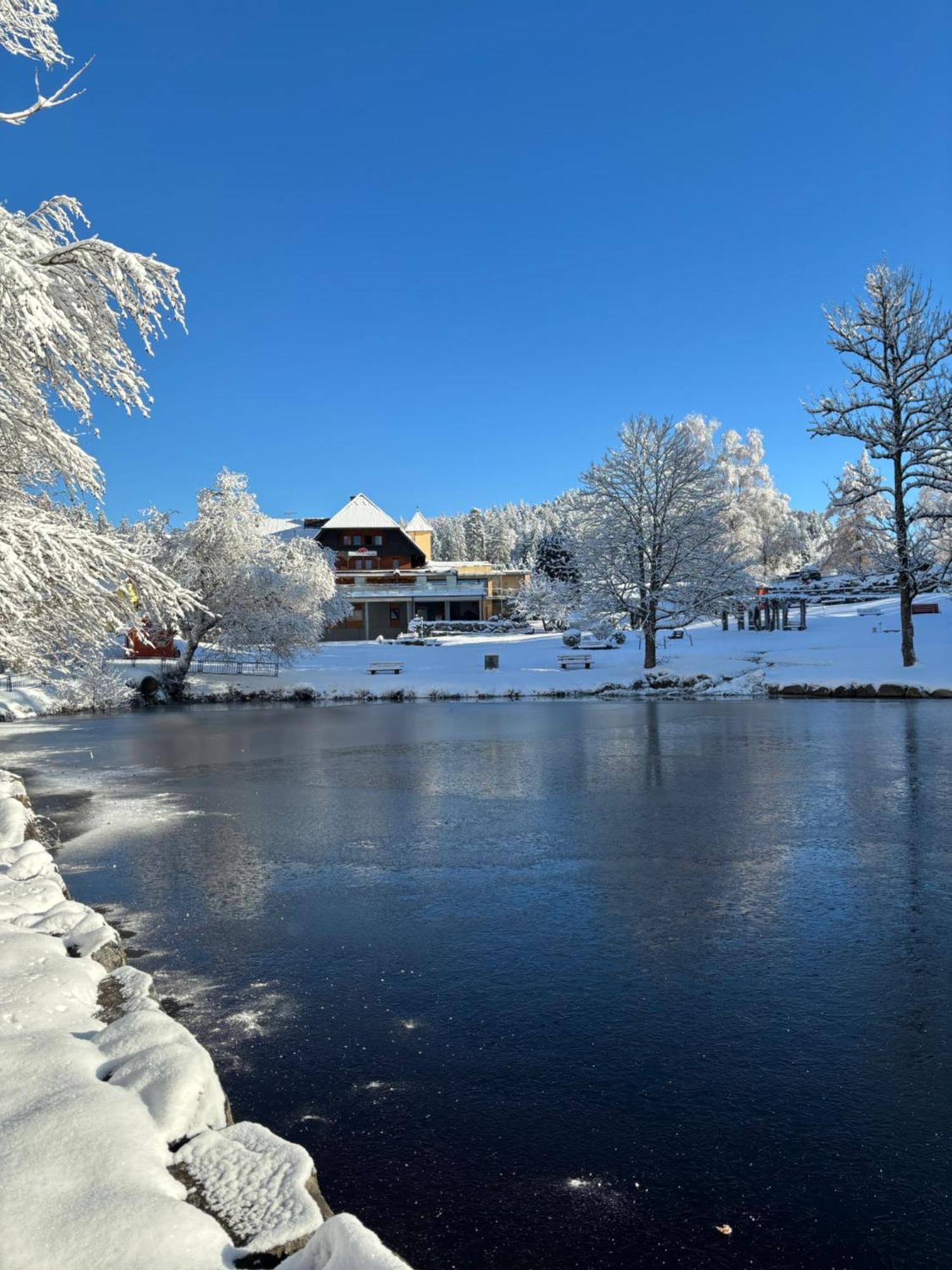 Landhaus Lauble Хорнберг Экстерьер фото